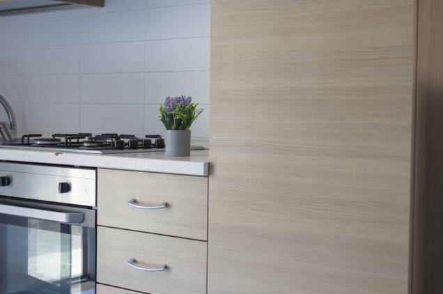 Detail of the equipped kitchen: oven, refrigerator and hob